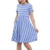 Blue Stripe